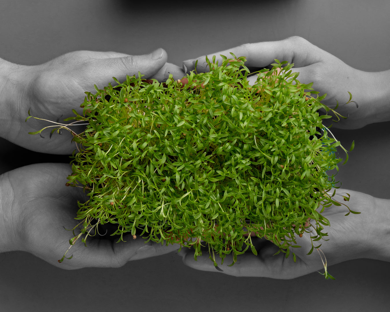 Экологическая ответственность