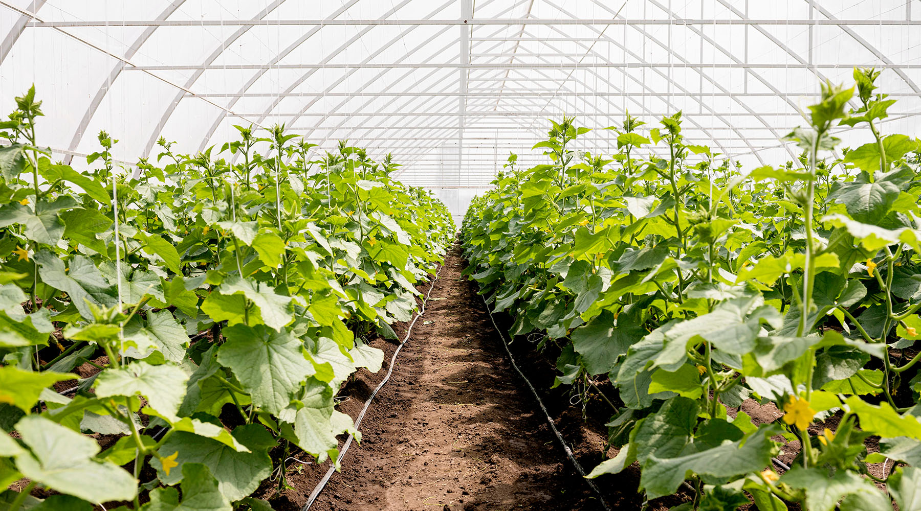 Энергоэффективность